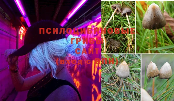 марихуана Алексин