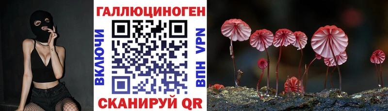 площадка телеграм  магазин  наркотиков  Шацк  Галлюциногенные грибы мицелий 